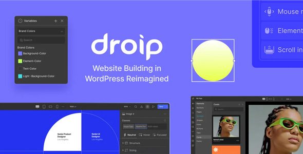 Droip 2.2.0 - No-Code WordPress Site Builder