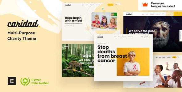 Caridad 18.0 - Charity WordPress Theme