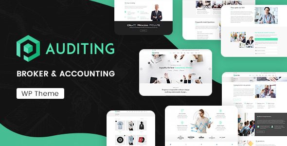 Auditing 3.3 - Accounting Consultant, Finance WordPress Theme