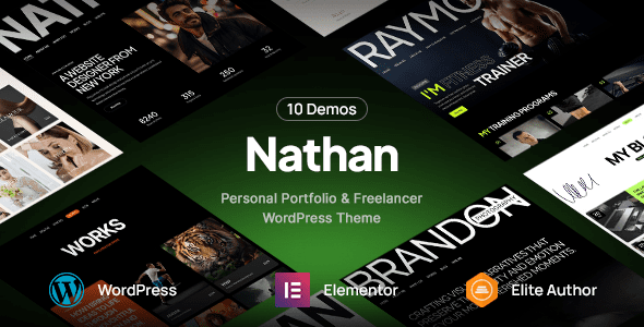 Nathan 1.0.3 - Personal Resume CV Portfolio WordPress Theme