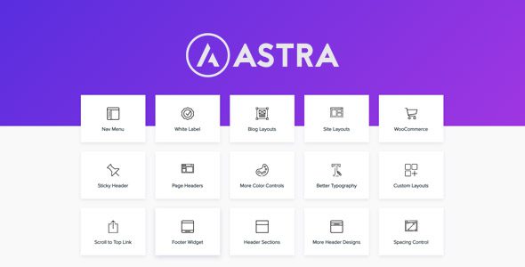 Astra Pro Addon 4.6.9 - WordPress Theme For Any Website