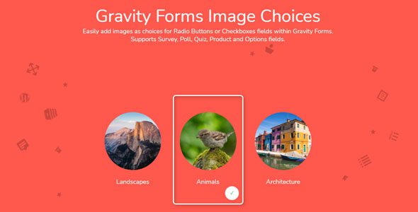 Gravity Forms Image Choices 1.4.6
