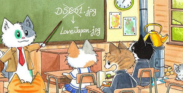 Media File Renamer Pro 6.1.4 - Đổi tên tệp phương tiện-Khat Vong Song - Desire Of Life