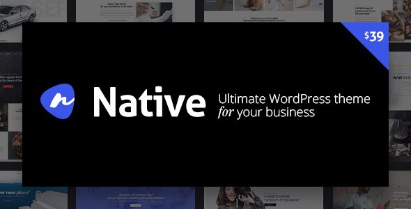 Native 1.6.92 - Stylish Multi-Purpose Creative WP Theme