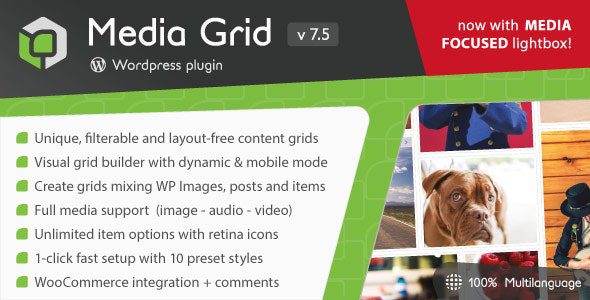 Media Grid 7.5.2 - WordPress Responsive Portfolio
