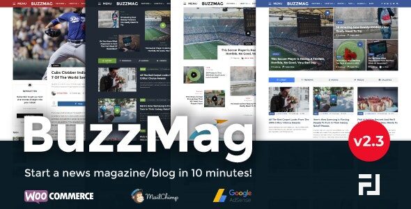 BuzzMag 2.3.0 - Viral News WordPress Magazine/Blog Theme