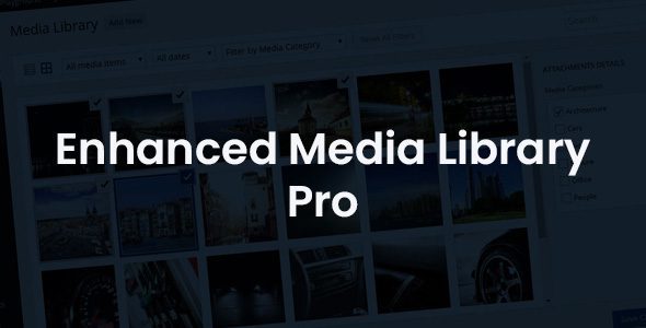 Enhanced Media Library Pro 2.8.10