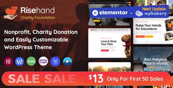 RiseHand 1.1.0 - Charity & Donation WordPress Theme