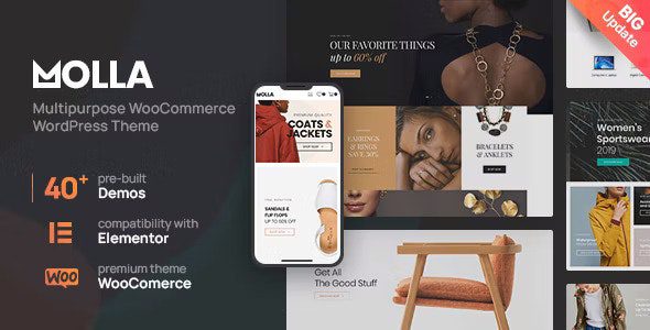 Molla 1.5.5 - Multi-Purpose WooCommerce Theme