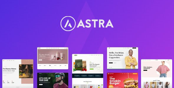 Astra Theme 4.8.10 - Most Popular WordPress Theme